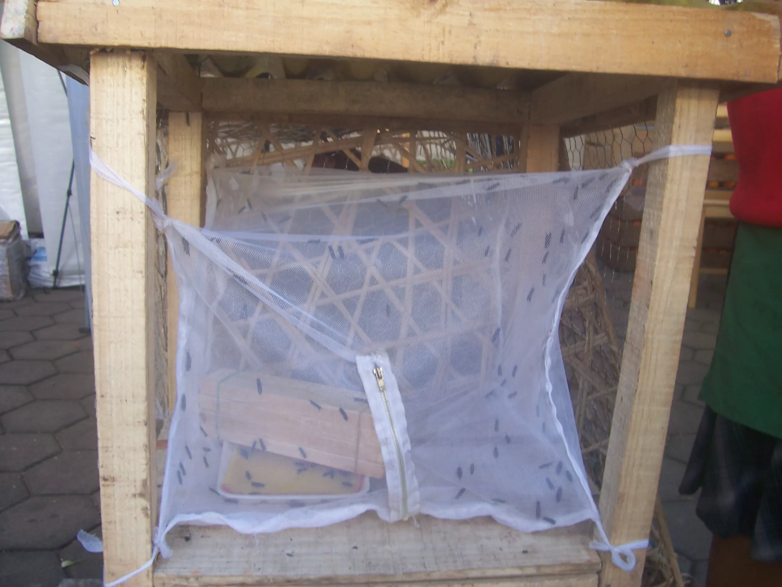 Description de l'image